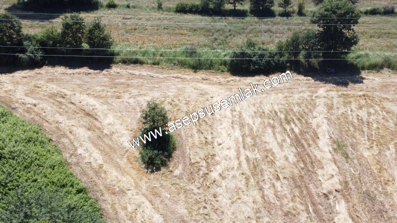 10.008 m2 Yatırımlık Tarla Bağ-Bahçe Su Çeşme Var. Yolu Yok. - 53