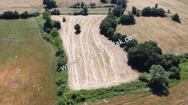 10.008 m2 Yatırımlık Tarla Bağ-Bahçe Su Çeşme Var. Yolu Yok. - 63