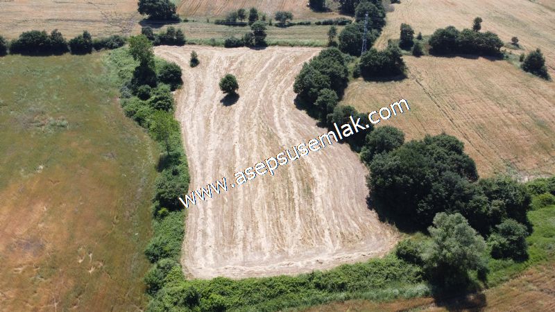 10.008 m2 Yatırımlık Tarla Bağ-Bahçe Su Çeşme Var. Yolu Yok. - 64