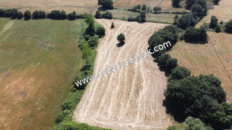 10.008 m2 Yatırımlık Tarla Bağ-Bahçe Su Çeşme Var. Yolu Yok. - 66