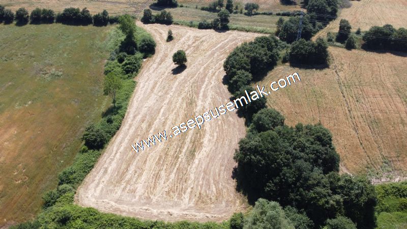 10.008 m2 Yatırımlık Tarla Bağ-Bahçe Su Çeşme Var. Yolu Yok. - 67