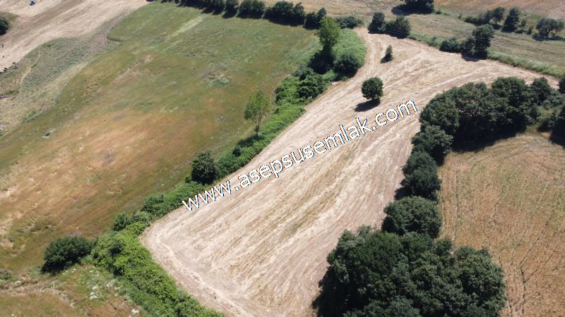 10.008 m2 Yatırımlık Tarla Bağ-Bahçe Su Çeşme Var. Yolu Yok. - 69