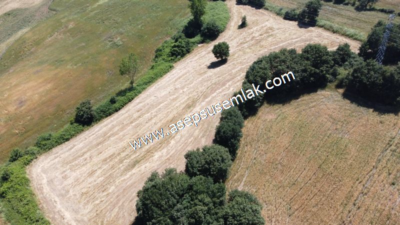 10.008 m2 Yatırımlık Tarla Bağ-Bahçe Su Çeşme Var. Yolu Yok. - 70