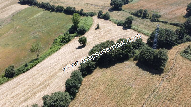 10.008 m2 Yatırımlık Tarla Bağ-Bahçe Su Çeşme Var. Yolu Yok. - 71