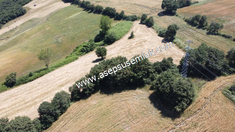 10.008 m2 Yatırımlık Tarla Bağ-Bahçe Su Çeşme Var. Yolu Yok. - 72