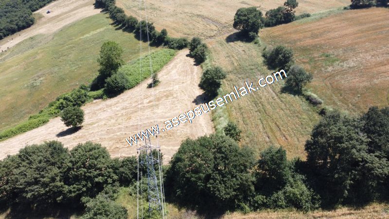 10.008 m2 Yatırımlık Tarla Bağ-Bahçe Su Çeşme Var. Yolu Yok. - 73