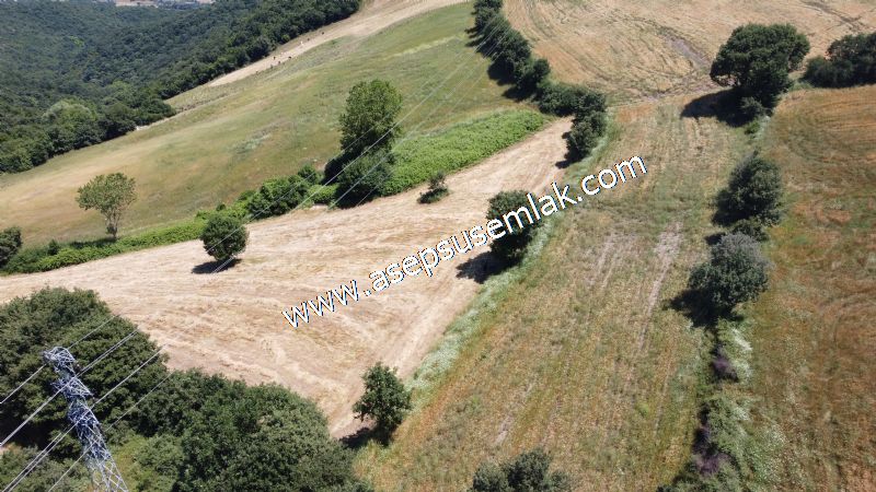 10.008 m2 Yatırımlık Tarla Bağ-Bahçe Su Çeşme Var. Yolu Yok. - 74