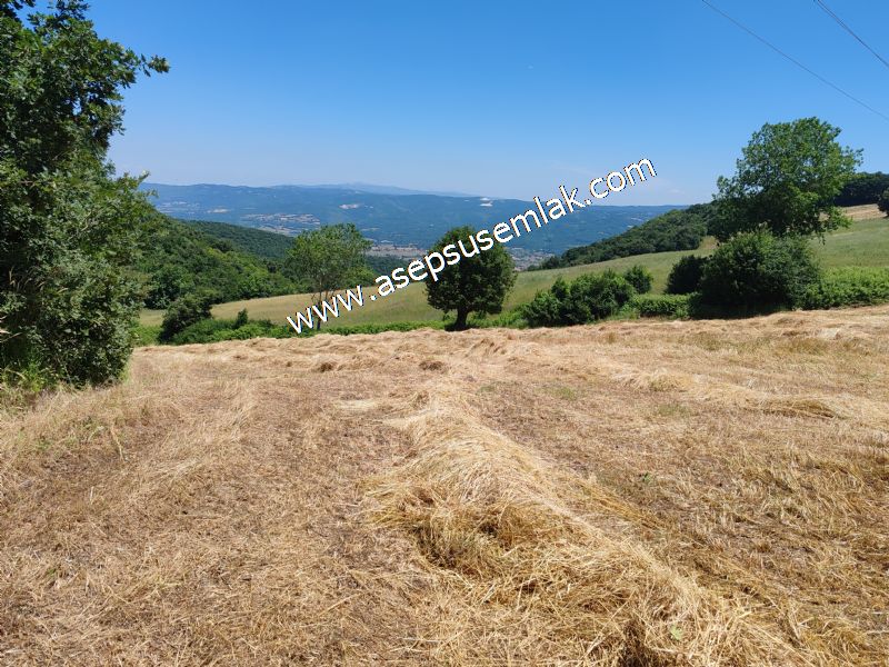 10.008 m2 Yatırımlık Tarla Bağ-Bahçe Su Çeşme Var. Yolu Yok. - 79