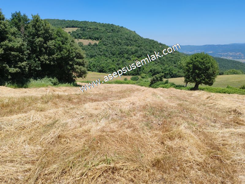 10.008 m2 Yatırımlık Tarla Bağ-Bahçe Su Çeşme Var. Yolu Yok. - 82