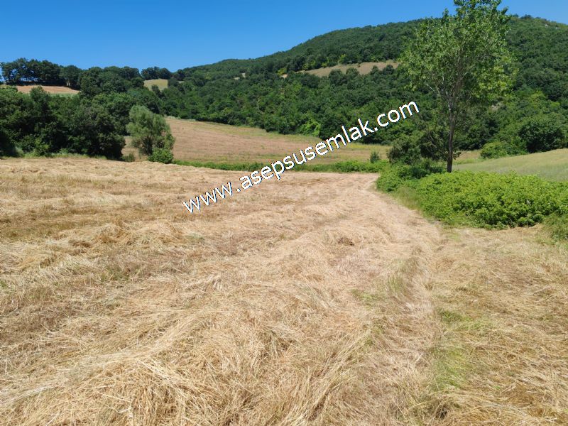 10.008 m2 Yatırımlık Tarla Bağ-Bahçe Su Çeşme Var. Yolu Yok. - 99