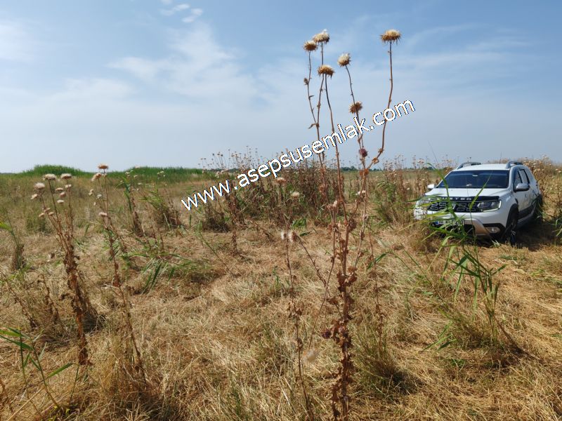 301 m2 Yatırımlık Müstakil Villa İmarlı Arsa Çifteleşmelerde - 54