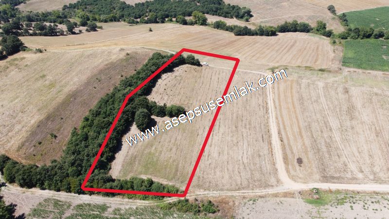 8.480 m2 Çiftlik Bağ-Bahçe K.Pompaj Su Var Kadastro Yola Cepheli - 27