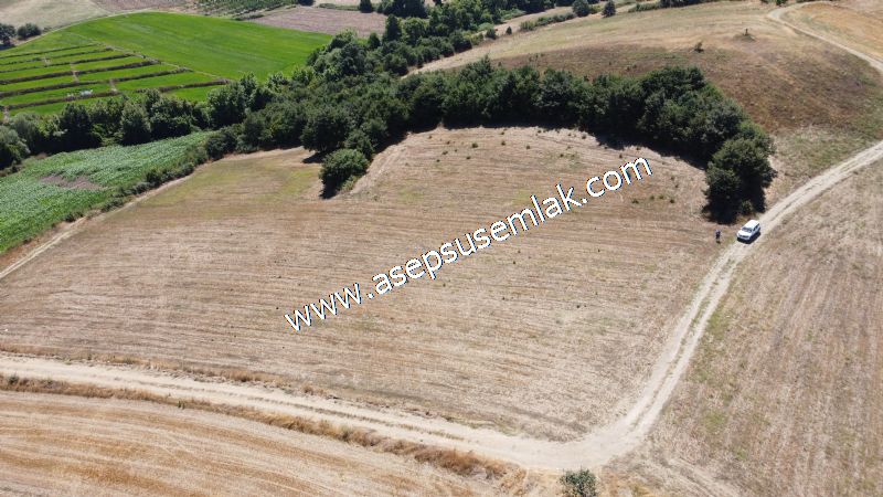 8.480 m2 Çiftlik Bağ-Bahçe K.Pompaj Su Var Kadastro Yola Cepheli - 40