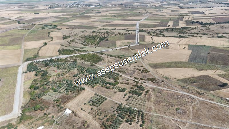 1.450 m2 Hobi Bahçesi Bağ-Bahçe Kadastro Yola Cepheli Bayramiçte - 55