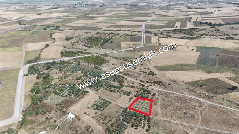 1.450 m2 Hobi Bahçesi Bağ-Bahçe Kadastro Yola Cepheli Bayramiçte - 56