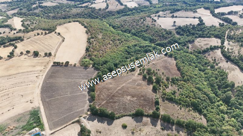 71.030 m2 Yatırımlık Tarla Bağ Bahçe Hobi Bahçesi Resmi Yol Yok. - 16