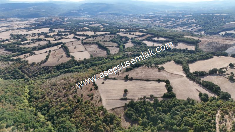 71.030 m2 Yatırımlık Tarla Bağ Bahçe Hobi Bahçesi Resmi Yol Yok. - 31