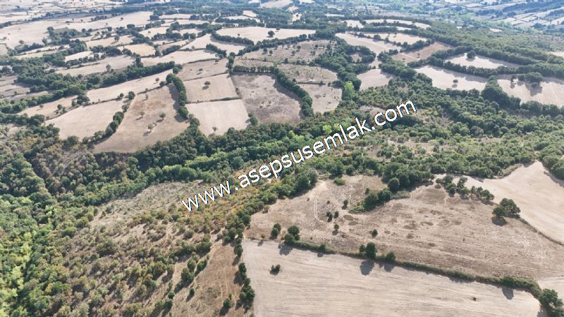 71.030 m2 Yatırımlık Tarla Bağ Bahçe Hobi Bahçesi Resmi Yol Yok. - 33