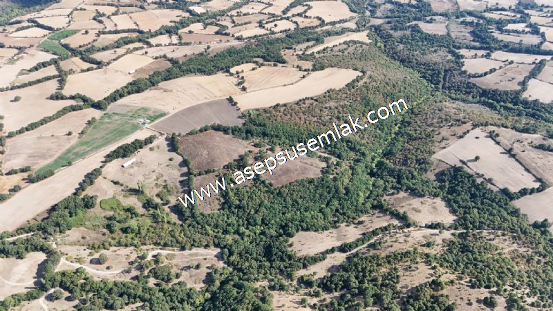 71.030 m2 Yatırımlık Tarla Bağ Bahçe Hobi Bahçesi Resmi Yol Yok. - 62