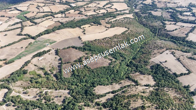 71.030 m2 Yatırımlık Tarla Bağ Bahçe Hobi Bahçesi Resmi Yol Yok. - 65