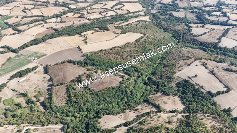 71.030 m2 Yatırımlık Tarla Bağ Bahçe Hobi Bahçesi Resmi Yol Yok. - 72