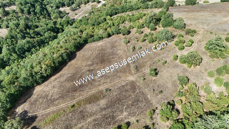 71.030 m2 Yatırımlık Tarla Bağ Bahçe Hobi Bahçesi Resmi Yol Yok. - 92