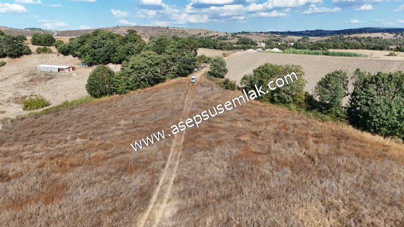 71.030 m2 Yatırımlık Tarla Bağ Bahçe Hobi Bahçesi Resmi Yol Yok. - 98