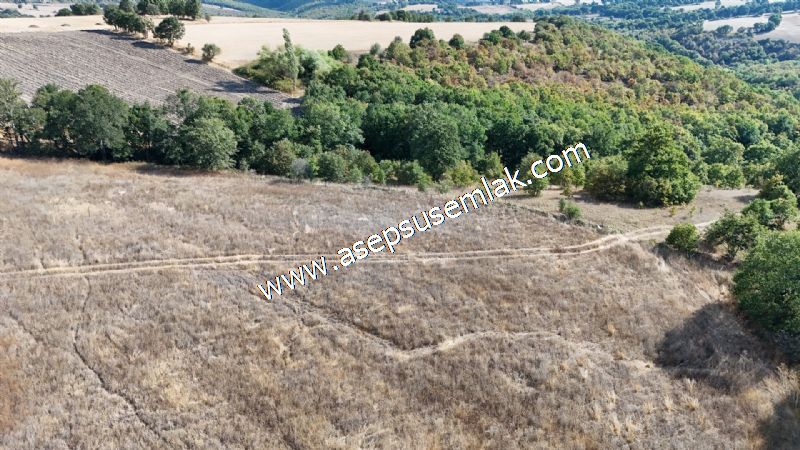 71.030 m2 Yatırımlık Tarla Bağ Bahçe Hobi Bahçesi Resmi Yol Yok. - 105