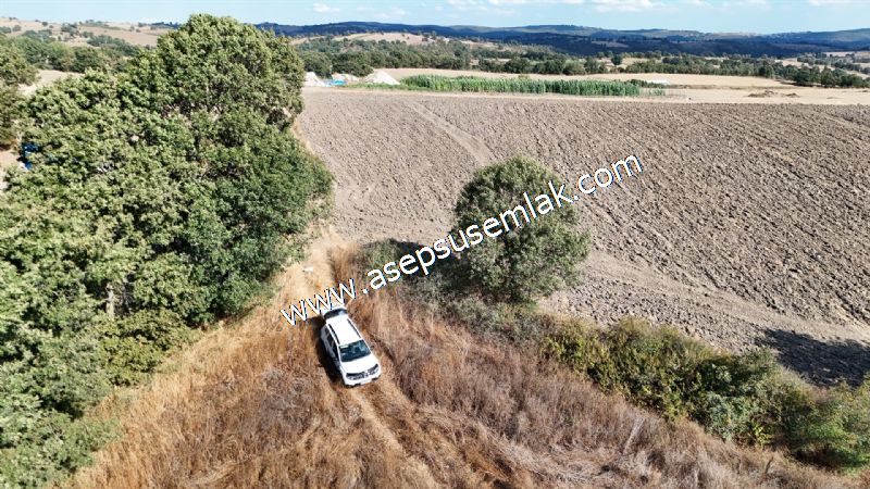 71.030 m2 Yatırımlık Tarla Bağ Bahçe Hobi Bahçesi Resmi Yol Yok. - 110