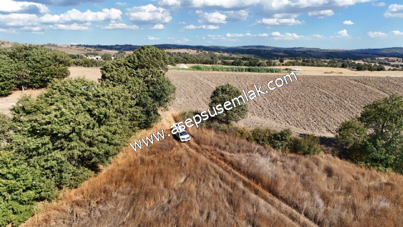 71.030 m2 Yatırımlık Tarla Bağ Bahçe Hobi Bahçesi Resmi Yol Yok. - 109