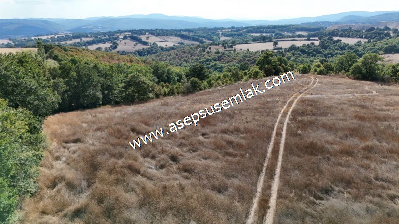 71.030 m2 Yatırımlık Tarla Bağ Bahçe Hobi Bahçesi Resmi Yol Yok. - 112