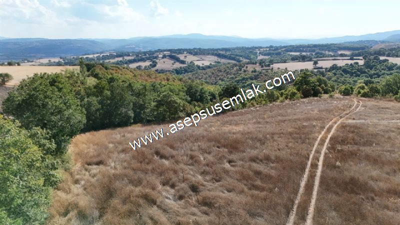 71.030 m2 Yatırımlık Tarla Bağ Bahçe Hobi Bahçesi Resmi Yol Yok. - 117