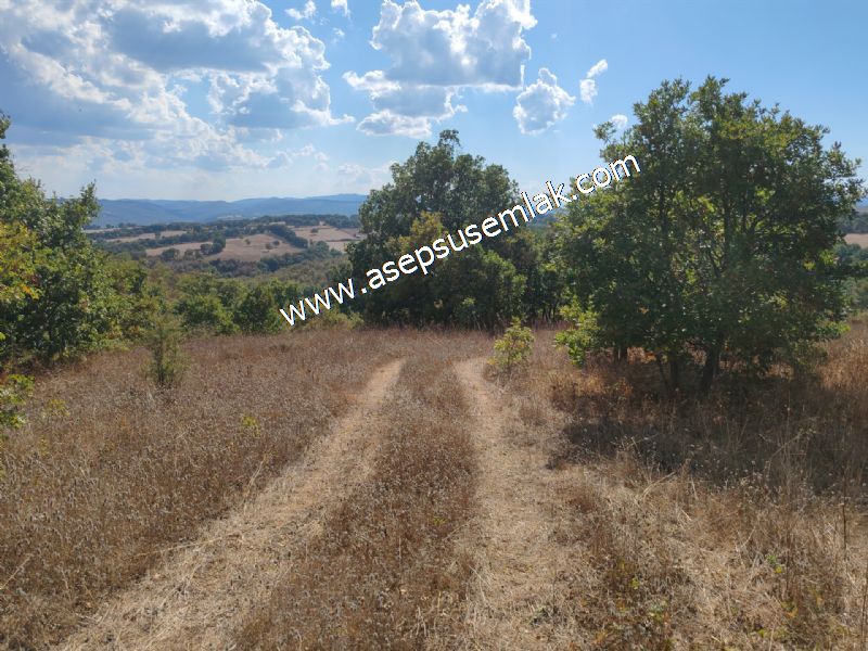 71.030 m2 Yatırımlık Tarla Bağ Bahçe Hobi Bahçesi Resmi Yol Yok. - 118