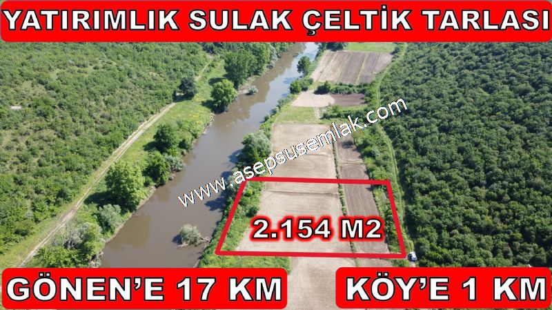 2.154 m2 Yatırımlık Dere'ye ve Orman'a Cepheli Çeltik Tarlası