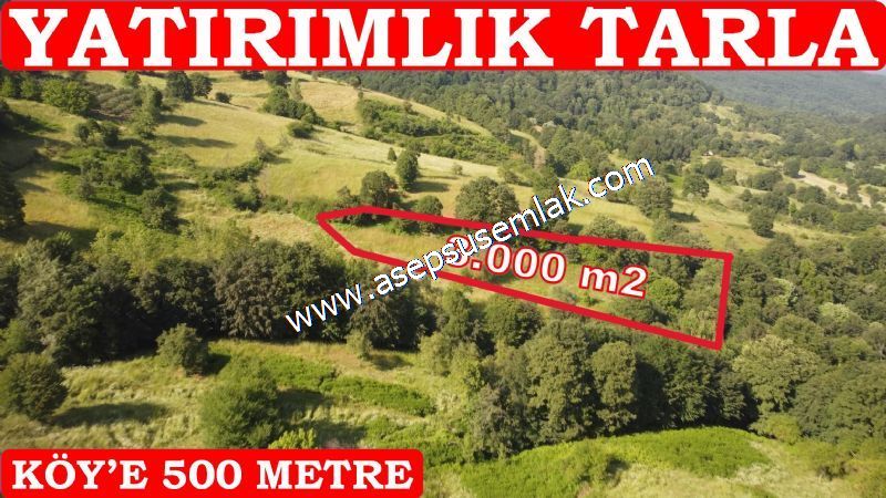 3.000 m2 Yatırımlık Tarla Bağ-Bahçe Resmi Kadastro Yolu Yoktur.