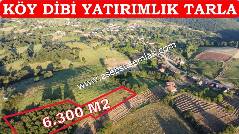 6.300 m2 Köy'e Yakın Yatırımlık Tarla Bağ-Bahçe Özel Yol var