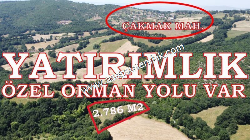 2.786 m2 Yatırımlık Tarla Bağ-Bahçe Resmi Kadastro Yolu Yoktur.