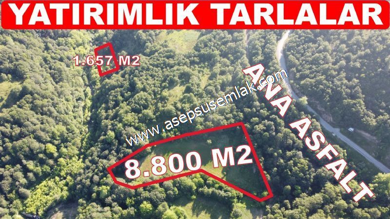 10.457 m2 Yatırımlık Tarla Bağ-Bahçe Ormana Cepheli Özel Yol var