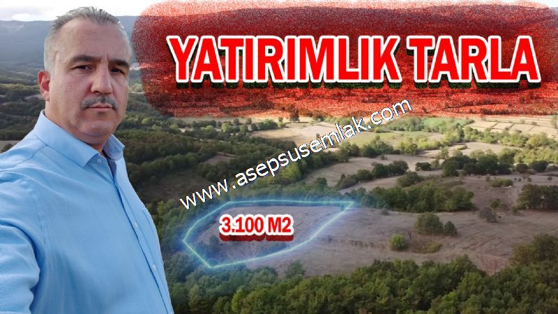 3.100 M2 Yatırımlık Tarla Doğası Süper Hakim Tepede Hobi Bahçesi