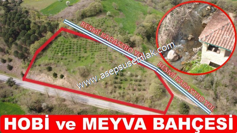 6.715 M2 Kadastro Yolu Var. Meyva & Hobi Bahçesi Dere'ye Cepheli