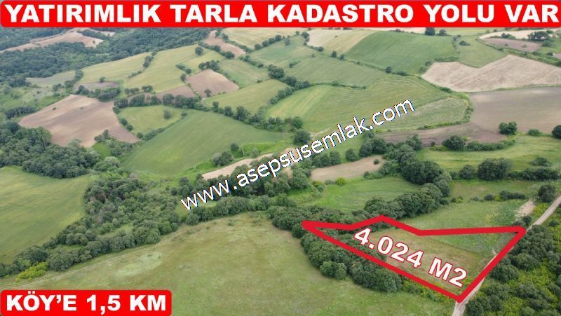 4.024 m2 Resmi Kadastro Yola Cepheli Bağ-Bahçe, Hobi Bahçesi