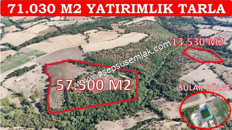 71.030 m2 Yatırımlık Tarla Bağ Bahçe Hobi Bahçesi Resmi Yol Yok.