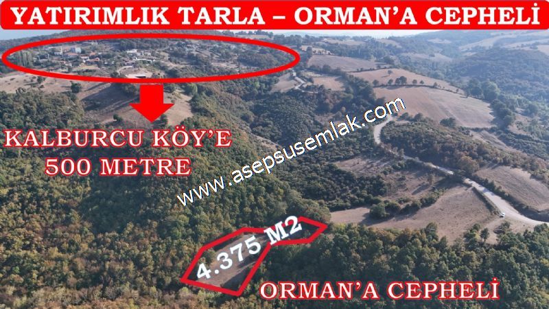 4.367 m2 Yatırımlık Tarla Bağ-Bahçe Resmi Kadastro Yolu Yoktur.