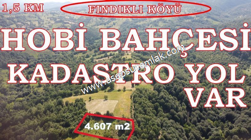 4.607 m2 Resmi Kadastro Yola & Orman Cepheli Hobi Bağ-Bahçesi